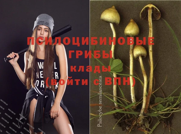 кокс Абдулино