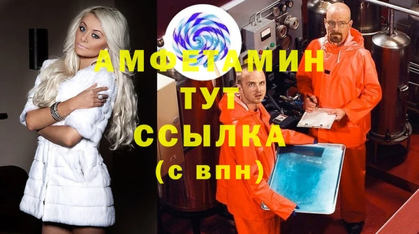 ГАЛЛЮЦИНОГЕННЫЕ ГРИБЫ Алзамай