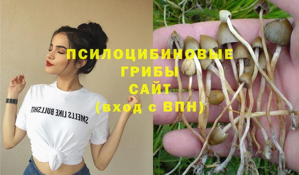 соль курить ск Абаза