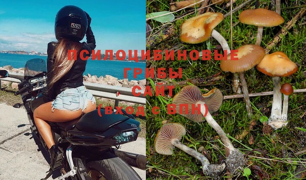 соль курить ск Абаза