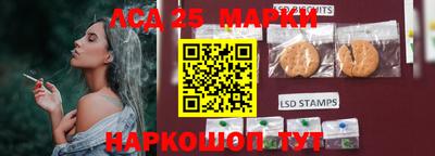 прущие крисы Сланцы