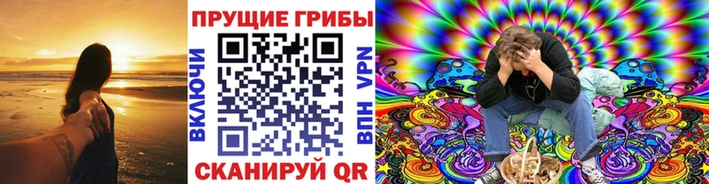 Псилоцибиновые грибы Psilocybe  Чебаркуль 