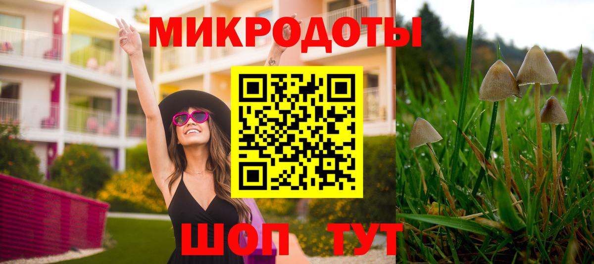 Галлюциногенные грибы мицелий  Вход с VPN  Чебаркуль 